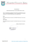Vista preliminar de documento RESOLUCION GERENCIAL N° 381-2021-MPA-GM (FE DE ERRATAS)