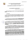 Vista preliminar de documento GDE-339-2024
