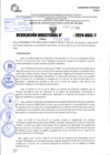 Vista preliminar de documento R.D 1762-2024