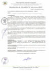 Vista preliminar de documento RA_269_2024_MDI