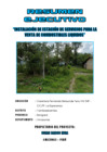 Vista preliminar de documento RESUMEN EJECUTIVO