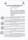 Vista preliminar de documento RDR-204