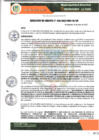 Vista preliminar de documento RESOLUCION GERENCIAL N° 26-2023