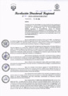 Vista preliminar de documento RDR-205