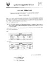 Vista preliminar de documento rsg-019-2024-gore-ica-sgpa-fe de erratas