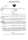 Vista preliminar de documento RDR 3899-2024