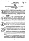 Vista preliminar de documento RGSR_2024_973