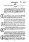 Vista preliminar de documento RGSR_2024_975