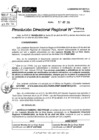 Vista preliminar de documento RDR 5508-2024