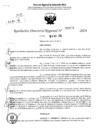 Vista preliminar de documento RDR 3904-2024