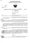 Vista preliminar de documento RDR 3905-2024
