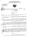 Vista preliminar de documento RDR 3916-2024