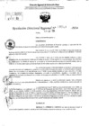 Vista preliminar de documento RDR 5515-2024