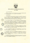 Vista preliminar de documento ResolucionDEN0312020