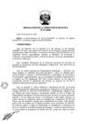 Vista preliminar de documento ResolucionDEN0272020