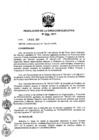 Vista preliminar de documento ResolucionDEN2462017