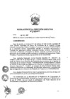 Vista preliminar de documento ResolucionDEN2452017