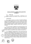 Vista preliminar de documento ResolucionDEN1952017