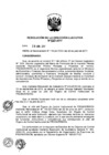 Vista preliminar de documento ResolucionDEN1202017