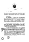 Vista preliminar de documento ResolucionDEN0982017