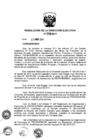 Vista preliminar de documento ResolucionDEN0742017
