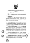 Vista preliminar de documento ResolucionDEN0422017