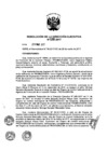 Vista preliminar de documento ResolucionDEN0382017