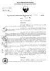 Vista preliminar de documento RDR 5518-2024