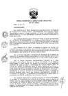 Vista preliminar de documento ResolucionDEN0812014