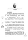 Vista preliminar de documento ResolucionDEN2042013