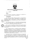 Vista preliminar de documento ResolucionDEN1942013