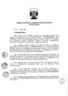 Vista preliminar de documento ResolucionDEN0022013