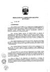 Vista preliminar de documento ResolucionDEN1732011