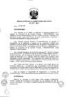 Vista preliminar de documento ResolucionDEN1372011