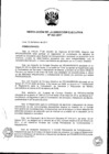 Vista preliminar de documento ResolucionDEN0232011