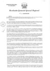 Vista preliminar de documento RGGR 449-2024