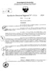 Vista preliminar de documento RDR 5524-2024