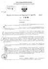 Vista preliminar de documento RDR 2770-2024