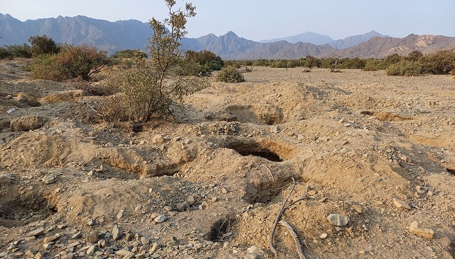 Detienen en flagrancia a dos personas realizando excavaciones clandestinas en el Sitio Arqueológico Cerro Songoy en Lambayeque
