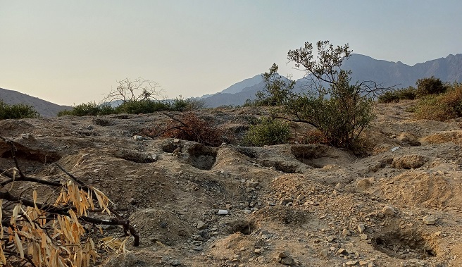 Detienen en flagrancia a dos personas realizando excavaciones clandestinas en el Sitio Arqueológico Cerro Songoy en Lambayeque