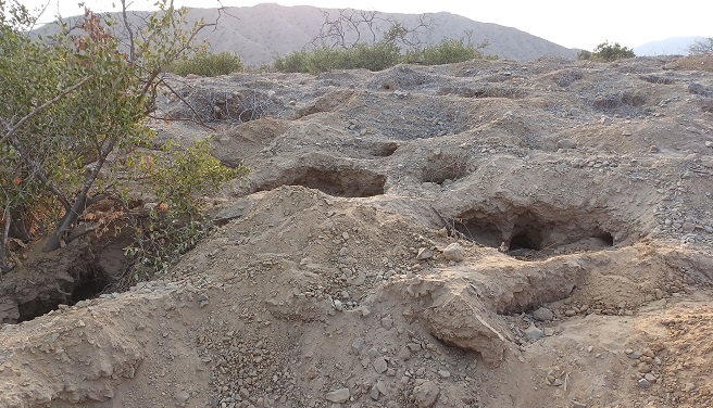 Detienen en flagrancia a dos personas realizando excavaciones clandestinas en el Sitio Arqueológico Cerro Songoy en Lambayeque