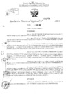 Vista preliminar de documento RDR 2774-2024