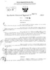 Vista preliminar de documento RDR 2778-2024