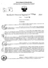 Vista preliminar de documento RDR 5530-2024