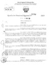 Vista preliminar de documento RDR 2782-2024