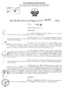 Vista preliminar de documento RDR 2783-2024