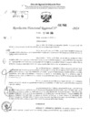 Vista preliminar de documento RDR 2785-2024