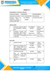 Vista preliminar de documento ANEXO 2 CRONOGRAMA