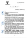 Vista preliminar de documento RD Nº 207-2024-DGINSM-HD-HN