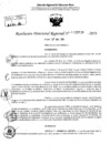 Vista preliminar de documento RDR 5539-2024